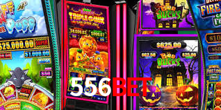 556bet